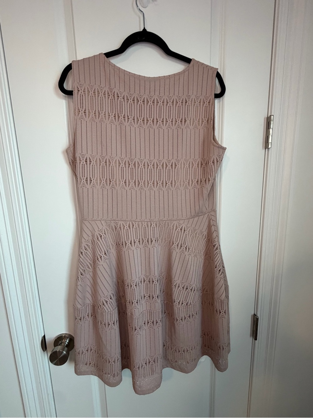 BCBGMaxAzria Sleeveless Crochet Skater Dress in Blush